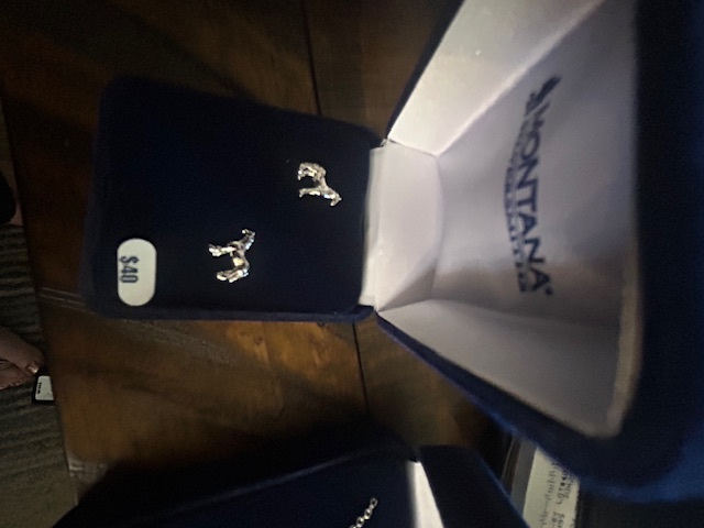 Horse post  earrings-ER-AQHA Quarter Horse
