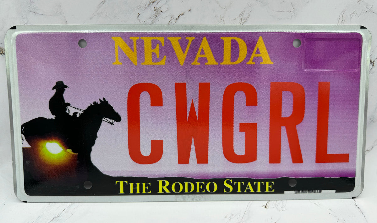Souvenier License Plates