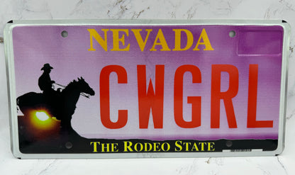 Souvenier License Plates