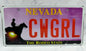 Souvenier License Plates
