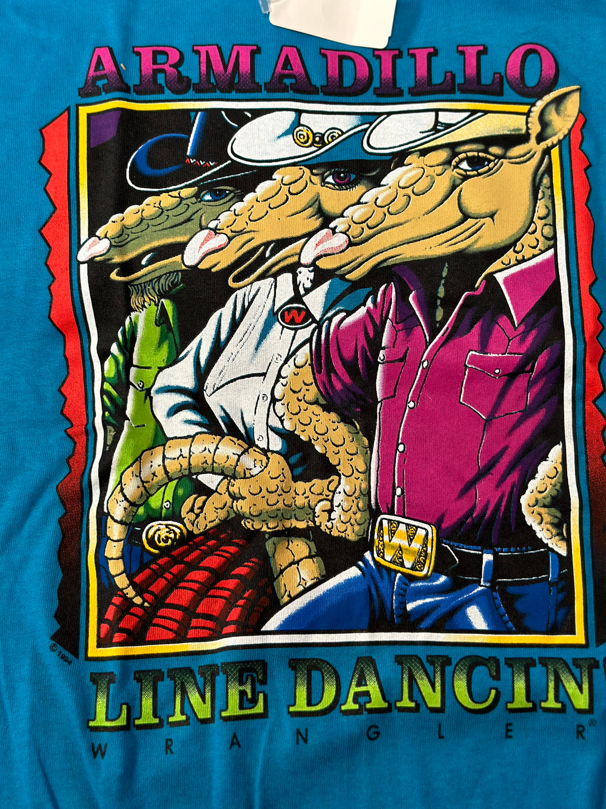 Armadillo Kids Shirt
